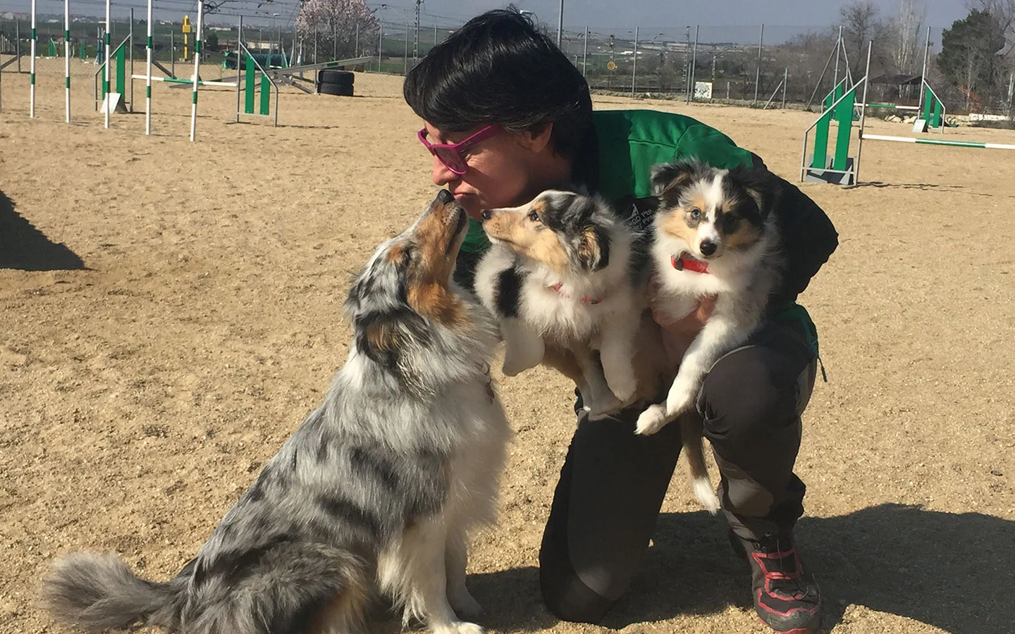 adiestrador canino en madrid